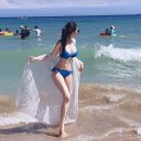 보배드림 이미지