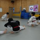 효태권도 이미지