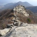 산사람 Daum카페