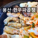 용산-257 | 숙대곱창 한우파곱창 용산곱창맛집 남영역맛집