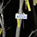 봉암주유소 | (3/29,일,02:04~10:53) 선암지맥2구간(청로고개~위천&amp;쌍개천합수점)