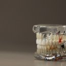 ㈜레피오 이미지