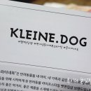 루이펫독 이미지