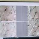 셀비오 김포장기점 이미지