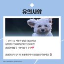 서교동물병원 이미지