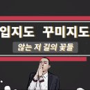 태초음악학원 이미지