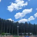 트리키즈풀빌라 이미지