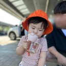 안나프루나 | [제주여행] - 제주가족여행 숙소추천 🫎블랙야크 야크마을🫎 안나푸르나 301호 사용 후기 (7인가족 이용후기)