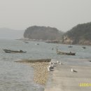 낙지한마당 이미지