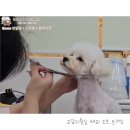 해피오브트리밍 이미지