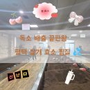 평택 효소찜질ㅣ초록미소마을 쌀겨효소찜질로 온몸 디톡스 제대로 하고 온 후기