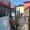 두류댕댕 이미지