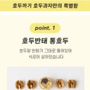 라온수피아유치원