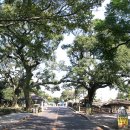 성읍리-3 이미지