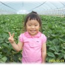 희주농장 이미지