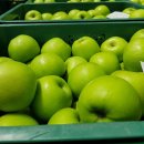 🍎 [오픈기념 특별행사] 아오리 사과(썸머킹) 한정 수량 50box 할인판매! 🍎 이미지