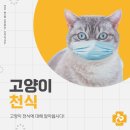 녹양돌봄동물병원 이미지