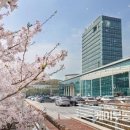 용인-구갈-구갈4 이미지