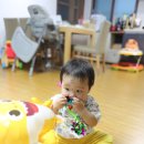 소소아지 이미지