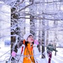 24.1.11 만항재 하늘숲공원-(헬로연수님) 이미지