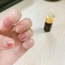노하네일앤바디 네이버블로그