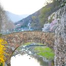 창녕 영산 만년교 이미지