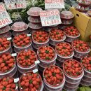 365청솔약국 이미지