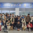 댕댕스쿨 이미지