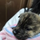 이호동물병원 이미지