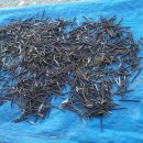 심가네농장 이미지