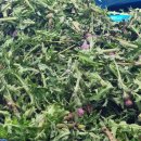 하늘흑염소농장 이미지