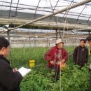 세도농장 이미지