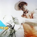 사직2동-9 이미지