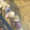 명지공원1(운동장) 이미지