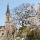 원주굽이길 14코스 용소막성당길 이미지