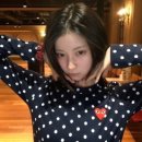 파히섬 이미지