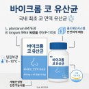 비염 유산균 [바이크롬 코 유산균 캡슐] 후기
