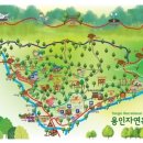 용인자연휴양림2 이미지