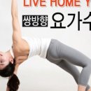 문요가 네이버블로그