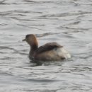 낙동강변14 이미지