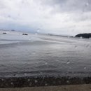 덕이네 식당 이미지