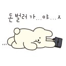 올리브편한 약국 이미지