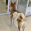 테일링커피로스터스 이미지