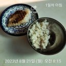[바르닭] 급찐급빠 7일 패키지 먹어본 후기 (feat. 점핑)/ 다이어트/ 일주일 식단