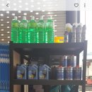 뚱모터스 이미지