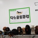 베프반려동물아카데미