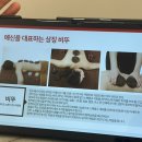 남양주 예신 다이어트 하루만에 살 빠진 후기 안 빠지면 환불