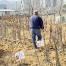 임실군산림조합임산물판매센터