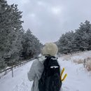 이룸소프트 | 거하게 망한 한라산 등반 도전 실패 후기🏔(예약 방법, 날씨 체크/준비 팁)