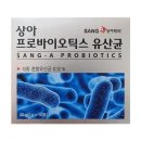 상아 이미지